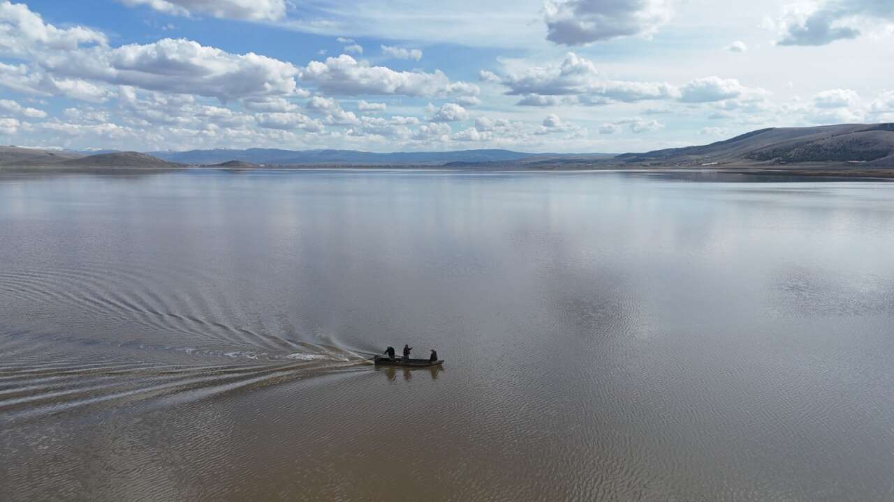 Konya’da kuraklığın vurduğu Çavuşçu Gölü, yaşama tekrar tutundu 2